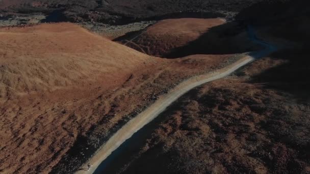 Luftaufnahme. Drohnen-Shooting - Mädchen läuft durch die Wüste in den Bergen, in einem Nationalpark, von oben gesehen — Stockvideo