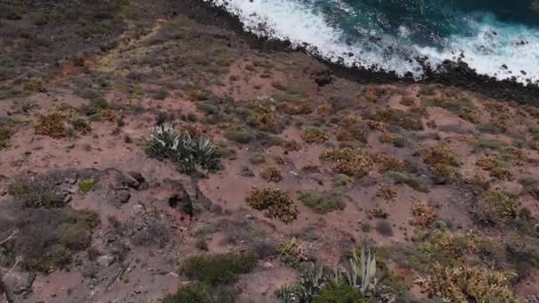 Luftaufnahme - Vulkanküste Teneriffa, Spanien — Stockvideo