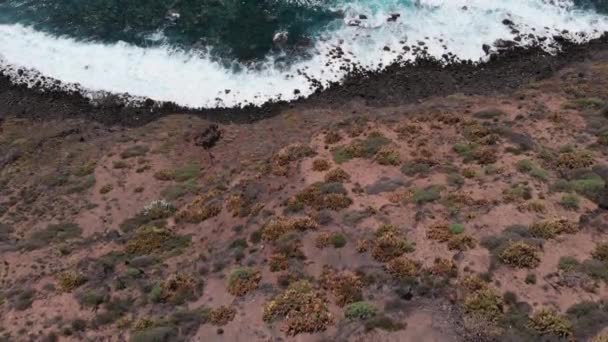 Κορυφαία θέα μιας όμορφης ακτογραμμής με μακριά κύματα και γαλαζοπράσινα νερά — Αρχείο Βίντεο