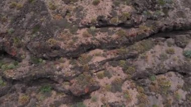 Havadan görünüm - kamera volkanik kökenli bir kaya üzerine düşüyor, Tenerife, İspanya