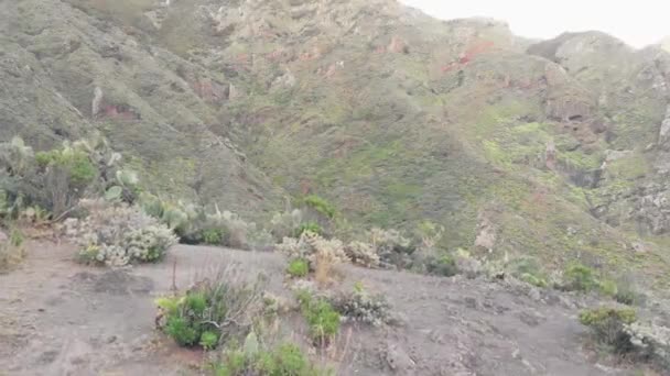 Verheende luchtfoto van het Anaga-gebergte bij zonsondergang in Tenerife, Canarische eilanden, Spanje — Stockvideo