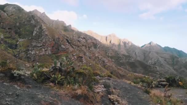 Wzniesiony strzał z drona w górach Anaga, Teneryfa — Wideo stockowe