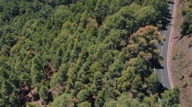 Hava. Araba olmadan dağlarda yalnız bir yolun çarpıcı görünümü. Çam ormanı. Canary Islands, Ispanya