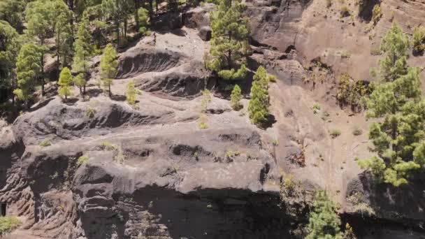 无人机升起 - 一个百年历史的岩石切割和针叶林 — 图库视频影像