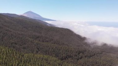 Drone Teide yanardağ en iyi görünümü-bulutlar, yoğun bir dökmeyen orman ve bir yanardağ ile kaplı bir vadi, kamera geri hareket