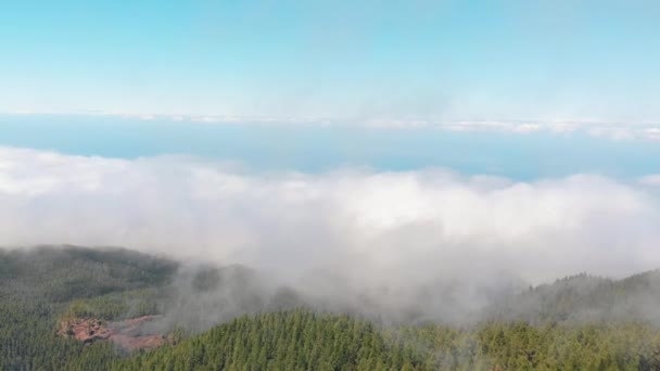 Το τηλεκατευθυνόμενο πετάει μέσα από τα σύννεφα πάνω από ένα παχύ πράσινο δάσος. Πολλά σύννεφα πάνω από την κοιλάδα. Τενερίφη, Ισπανία — Αρχείο Βίντεο