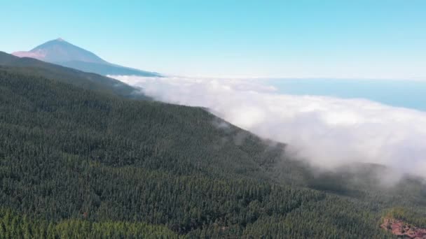 Время истекло, вид с воздуха - Тейде вулкан, зеленый лес и облака, как волна, покрывающая густой лес. Tererif, Канарские острова, Испания — стоковое видео