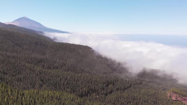 Vue aérienne à grande échelle de l'attraction principale de l'île de Tenerife - le volcan Teide. Vue aérienne du parc national. La caméra tombe. — Video