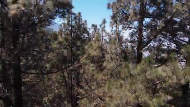 AERIAL. The camera rises and opens up a panoramic view of the valley with clouds and the Teide volcano, Tenerife, Spain — Stock Video