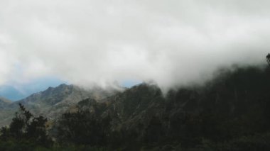 Hava. Güzel kalın ve yoğun bulutlar bir milli doğa parkı yeşil bir vadi üzerinde alçak sinek. Tenerife, Kanarya Adaları, İspanya.