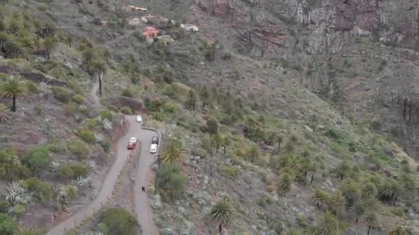 Antenne. Vallei in de bergen van vulkanische oorsprong, palmbomen en stenen in de kloof. Masca, Tenerife, Spanje — Stockvideo