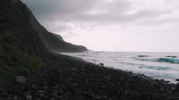 Черный пляж вулканического происхождения с большими скалами, дикая природа, Атлантический океан, вид с воздуха — стоковое видео