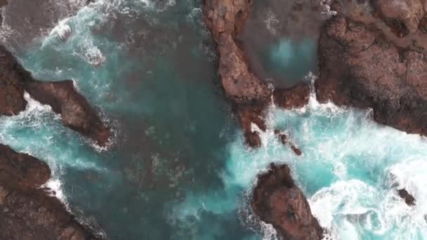 Природные бассейны острова Тенерифе - это секретное место. Вид с воздуха. Скалы замёрзшей лавы и бирюзового океана — стоковое видео