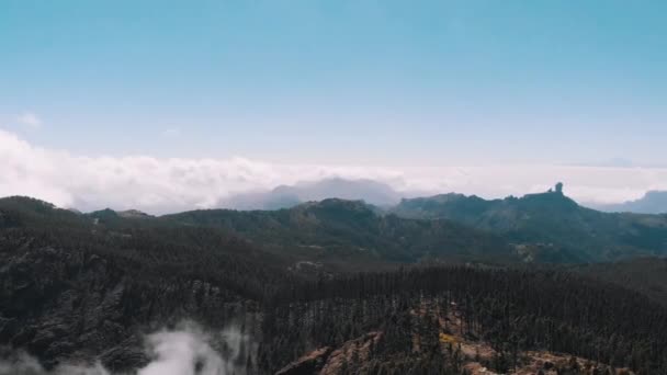Vue aérienne - forêt de pins sur le flanc d'un volcan, montagnes et vallée, Pico de las Nieves, Gran Canaria — Video