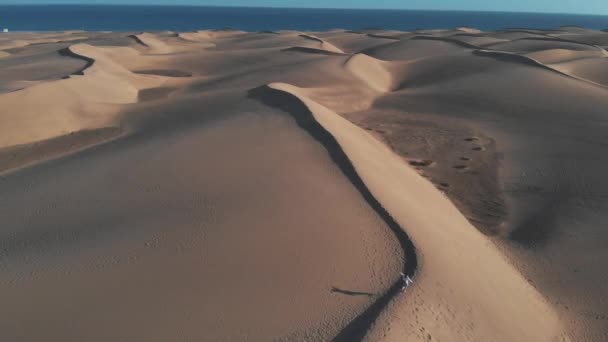 Vista de pájaro - mujer joven caucásica corre por el desierto al atardecer. Hermosas dunas a orillas del Océano Atlántico, un hito natural de España. Maspalomas, Gran Canaria — Vídeo de stock