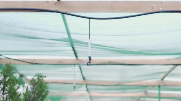 Système d'arrosage en action, irrigation un jour d'été — Video