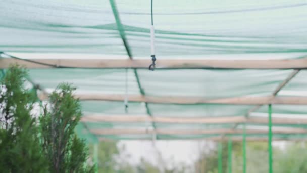 Sistema hidropónico en una pequeña empresa en las zonas rurales en el trabajo . — Vídeos de Stock