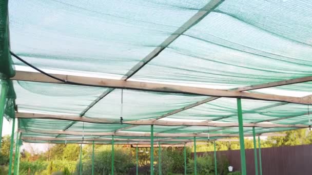 Hydroponic automatic watering system, under artificial shade from a green awning, off, after irrigation of plants and seedlings. Modern technologies in agriculture — Stock Video