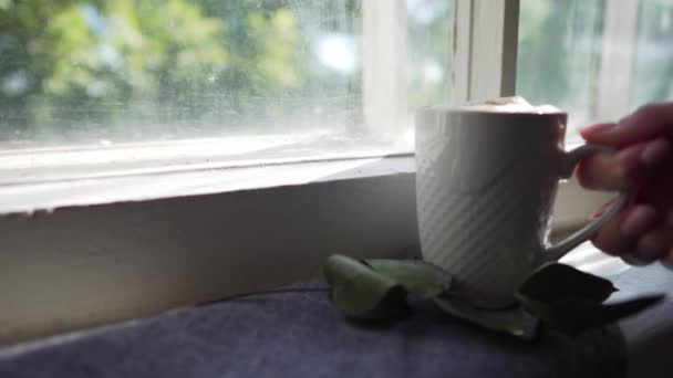 La chica toma una taza de café del alféizar de la ventana y lo vuelve a poner, de cerca. Concepto Lagom — Vídeo de stock