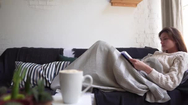 Menina calma lê um livro no sofá, escondido em um cobertor. Descanso durante as férias, outono ou inverno — Vídeo de Stock