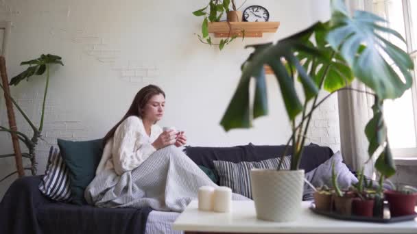 Skandinavischer Lebensstil - junge schöne Frau, die sich auf einer Couch ausruht, Kaffee trinkt und das Leben genießt — Stockvideo