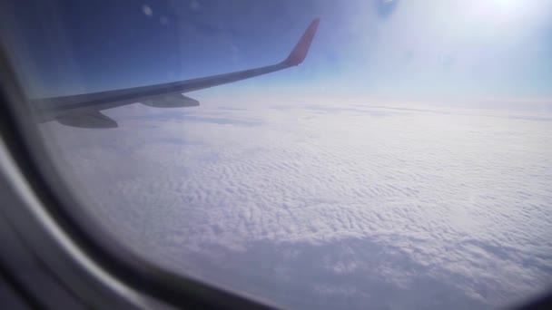 Airplane szárny az ablakon a reggeli, vakáció. A turizmus egy turistaosztály. Ablakhely a repülőgépen — Stock videók