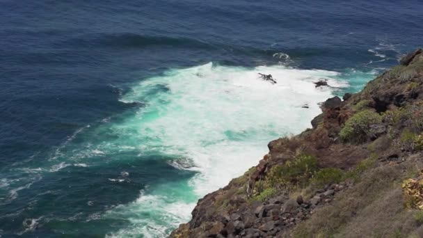 Μεγάλα κύματα τιρκουάζ χρώματος στην ακτή του ισπανικού νησιού. Παράκτια ακτή Τενερίφη την ηλιόλουστη μέρα. — Αρχείο Βίντεο