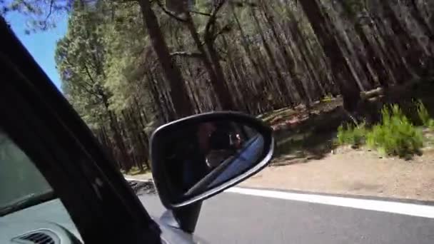 Girl blogger shoot video of herself in the reflection of mirror of a car, in motion. — ストック動画