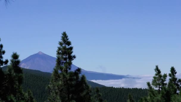 Gyönyörű táj-egy átfogó képet az aktív vulkán felett a felhők és a tűlevelű erdő. Teide, Tenerife. — Stock videók