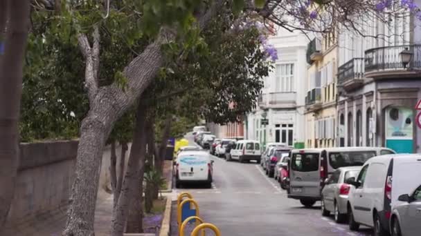 Las Palmas de Gran Canaria, Spanien - 23. April 2019 - Straße mit Bäumen und Schaufenstern in Siesta, lokales Kleinunternehmen. Spanischer Raum an einem Frühlingstag. — Stockvideo