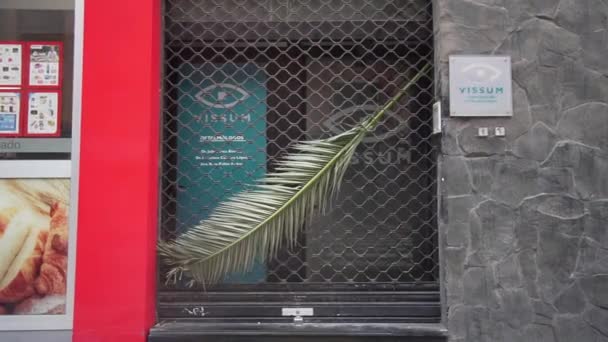 Branche de palmier sur la grille d'un magasin fermé, symbole de l'île de Gran Canaria — Video