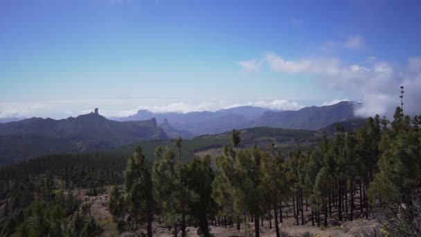 Vale de uma ilha vulcânica, floresta perene conífera, montanhas e nuvens, timelapse. O movimento rápido da névoa molhada — Vídeo de Stock