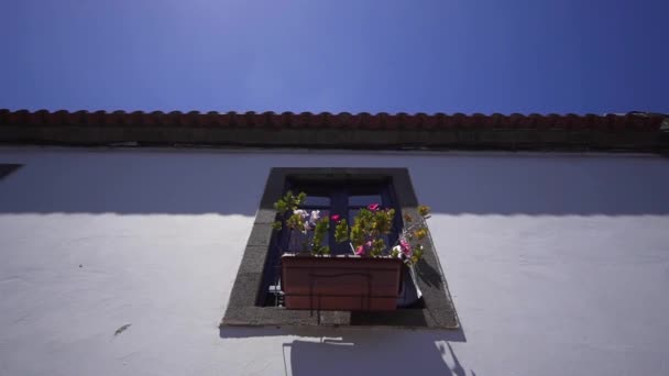 Ventana con flores en la pared de una antigua casa española. Exterior de Arquitectura Europea — Vídeos de Stock