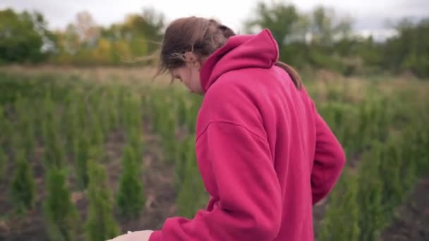 Egy női ellenőr ellenőrzi a növények minőségét. A virágárus irányítja a palánták növekedését a szabadban. Helyi ökovállalkozás — Stock videók