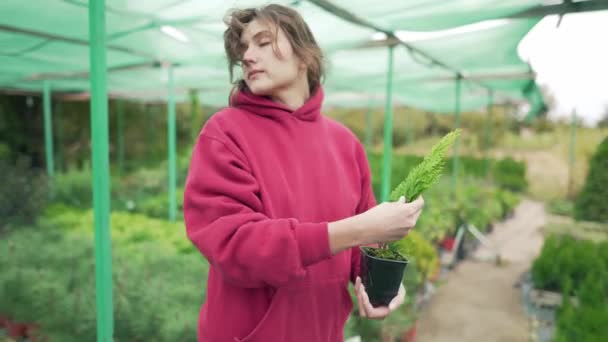 Jonge vrouw bloemist - ondernemer met een plant in haar handen. Evergreen zaailing in een kleine pot voor verkoop. Controle van de installaties op de markt — Stockvideo