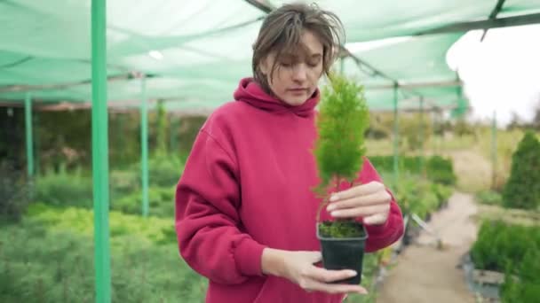 Mujer florista comprueba una hermosa plántula verde en un invernadero al aire libre. Control e investigación de plantas en botánica — Vídeos de Stock