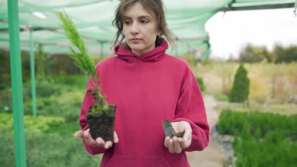 Schöne junge Floristin - Geschäftsinhaberin hält eine wachsende grüne Pflanze und einen trockenen Ast. Leben und Tod in der Biosphäre. Ökologisches Wahlkonzept — Stockvideo
