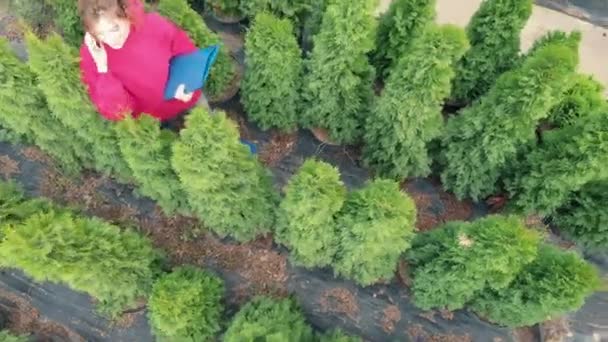 Luchtfoto - Een jonge vrouw bloemist praat met een koper aan de telefoon. Detailhandel in zaailingen van bomen. Jonge eigenaar van een klein lokaal bedrijf — Stockvideo