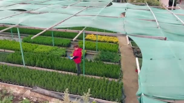 한 여성 플로 리스트 가 야외에서 스마트폰으로 인터넷상에서 거래를 하고 있다. 사업을 하는 여성, 식물 과 꽃을 재배하고 판매하는 생물 사업의 소유자. 드론 샷 — 비디오