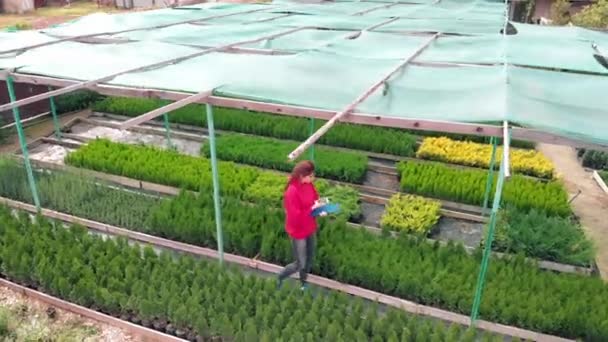 Female owner of a small eco-business. Service, talking with a client on the phone. View from above. Remote trade in eco products, young seedlings of evergreens — ストック動画