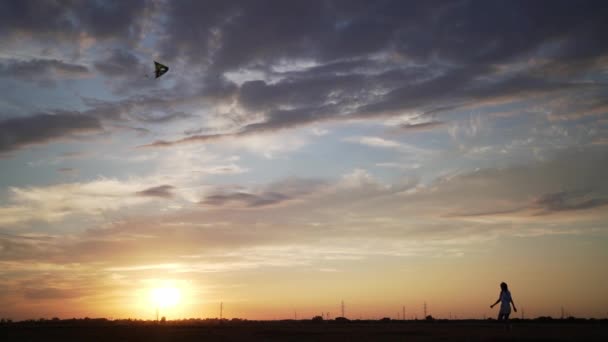 Chica feliz sostiene una cometa voladora en un hermoso campo al atardecer. Diversión y libertad, estilo de vida saludable — Vídeos de Stock