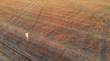 Beyaz elbiseli mutlu kadın gün batımında bir tarlada duran uçurtmayı kontrol ediyor. Kadının hava manzarası, hafta sonları eğlence ve neşe