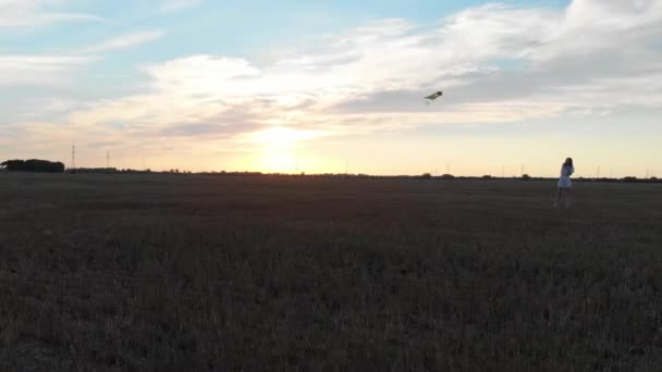 Drone terbang oleh gadis meluncurkan layang-layang saat matahari terbenam di lapangan indah — Stok Video