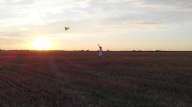 Güzel ince kadın uçurtmayı kontrol eder ve tarladaki güzel günbatımını seyreder.