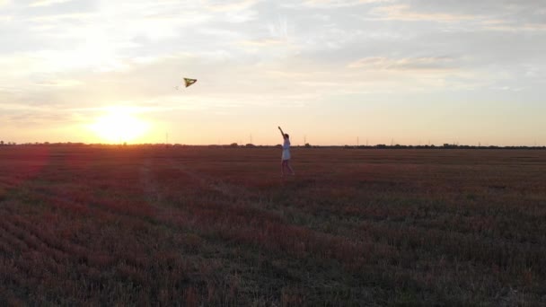 Indah ramping wanita mengontrol layang-layang dan melihat matahari terbenam yang indah di lapangan — Stok Video