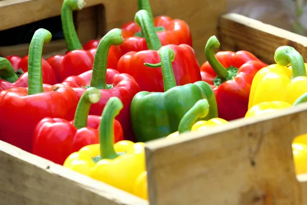 Colorful sweet bell pepper in the wood box