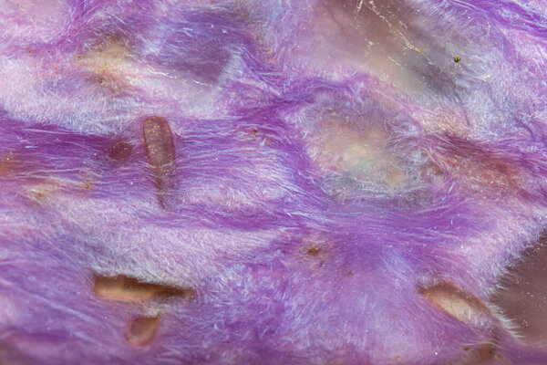 Крупный план Стеацит минерал (коричневая форма цилиндра) на полированной поверхности хароита драгоценного камня, радиоактивный минерал, содержащий торий элемент (избирательный фокус)