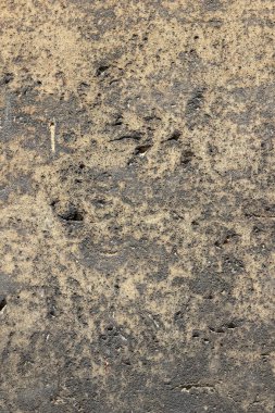 Doku duvar eski. Prag'da antik bir tapınak yüzeyine. Arka plan taş Tasarımcısı. Kahverengi tonlarında Vintage desen