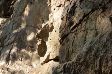 Granit kayalar güneşte. Granit taş dokusuna. Arka plan doğal malzeme. Eski zamanların kayalık kayalar