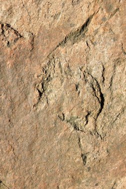 Granit doku. Granit taş yakın çekim. Arka plan doğal malzeme. Eski zamanların kayalık kayalar. Doğal desen